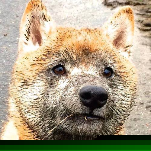 《高校纷纷开设电竞专业，培养产业链多样化人才》，高校开设电竞专业弊端