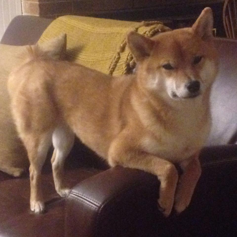 【水手新星罗德里格斯崭露头角】三全垒打引爆现场,罗德里格斯拳手