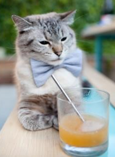 史上最大“黑马队”逆袭欧洲之巅,世界上最大的黑马王子