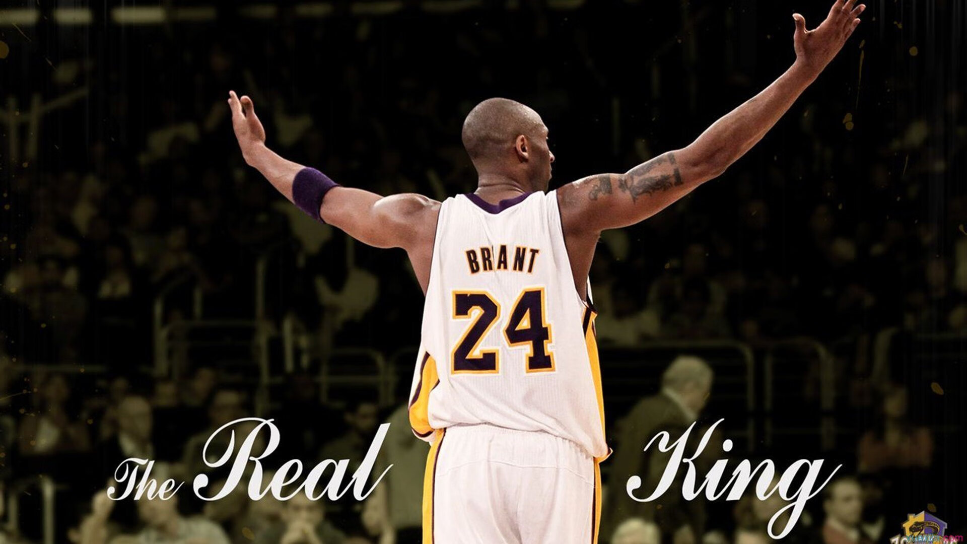 开云esports-黄蜂管理层强调尊重年轻球员成长节奏，黄蜂队有哪些球员